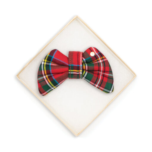 Educator Red Bow Tie
