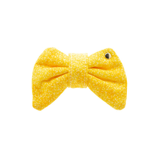 Yellow Tang Bow Tie