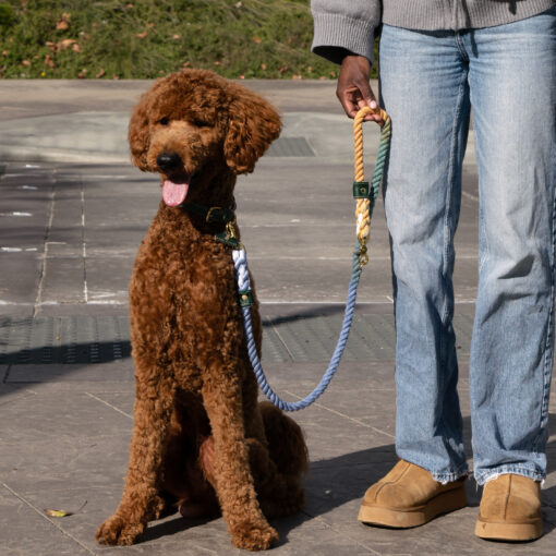 MARINER'S ROPE LEASH - DARK OMBRE - Image 3