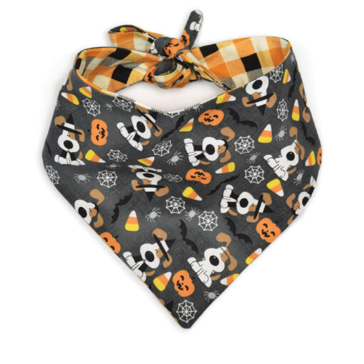 The Candy Corn Bandana