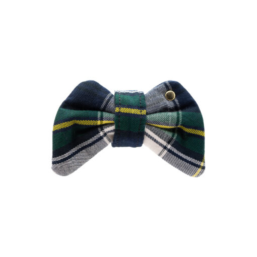 Educator Blue Bow Tie