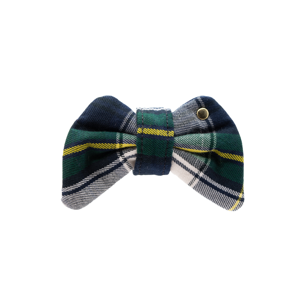 Educator Blue Bow Tie