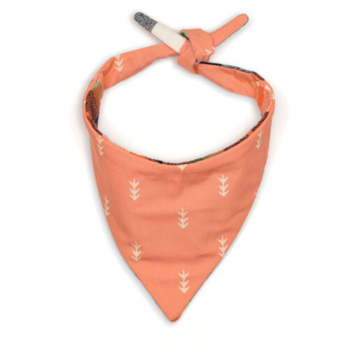Alternative view of The Forecaster Bandana
