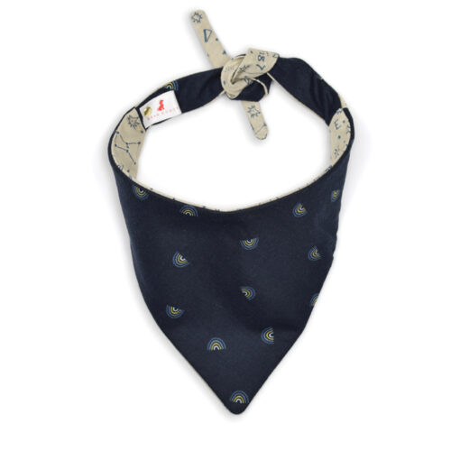 The Meteorologist Bandana