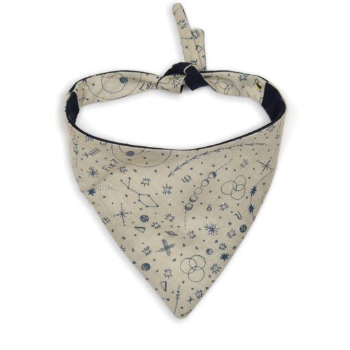 Alternative view of The Meteorologist Bandana