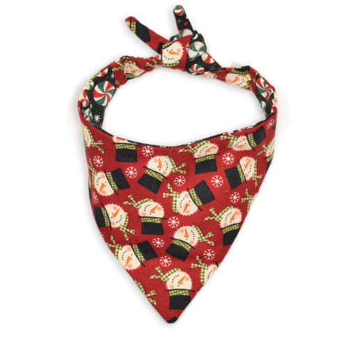 Alternative view of The Peppermint Bandana