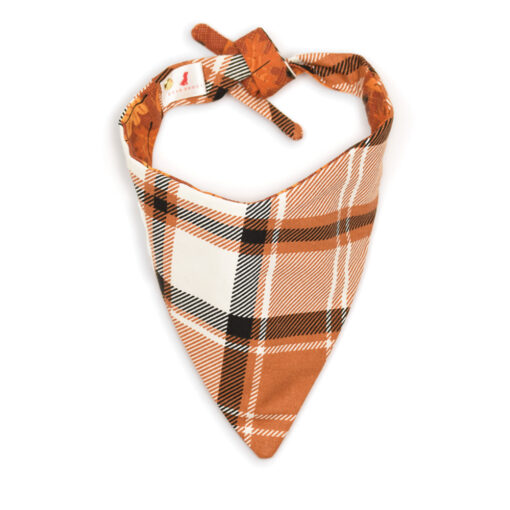 The Squirrel Bandana