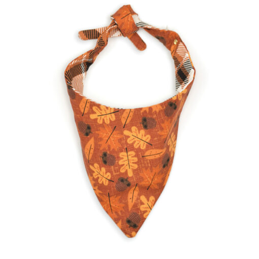 Alternative view of The Squirrel Bandana