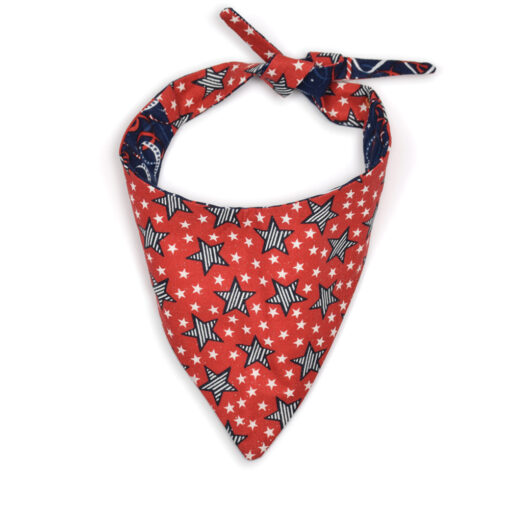 Alternative view of The Stars Bandana
