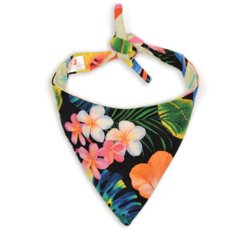 The Surfer Bandana